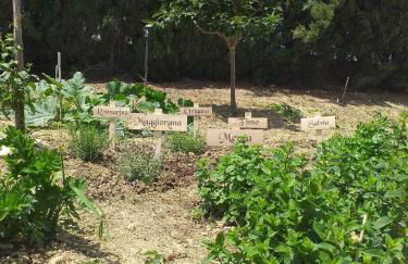 In collina sul mare... - Foto 70