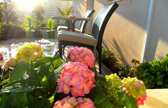 Apartments Pera - Photo 45