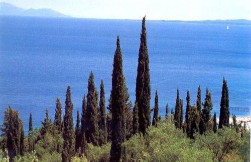 Villa Stephanie - Foto 43