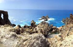 Finca La Punta - Foto 12