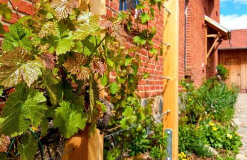 Ferienwohnung Alte Schule Chorin Schorfheide - Foto 7