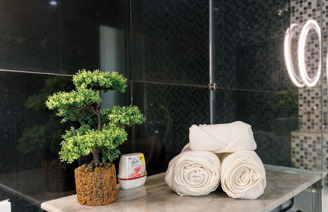 Salute de Léman - Luxury Apartment District 3 - Photo 42