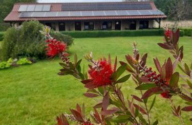 Apartamenty Pod Debem (Ferienwohnungen an der uralten Eiche) - Foto 15