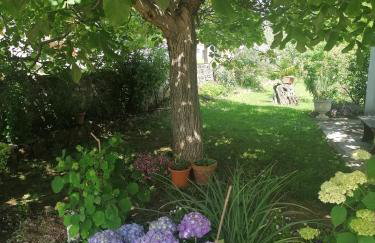 Apartments Vellico - Photo 11