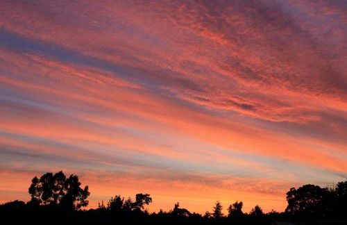 Lodge Farm - Foto 63