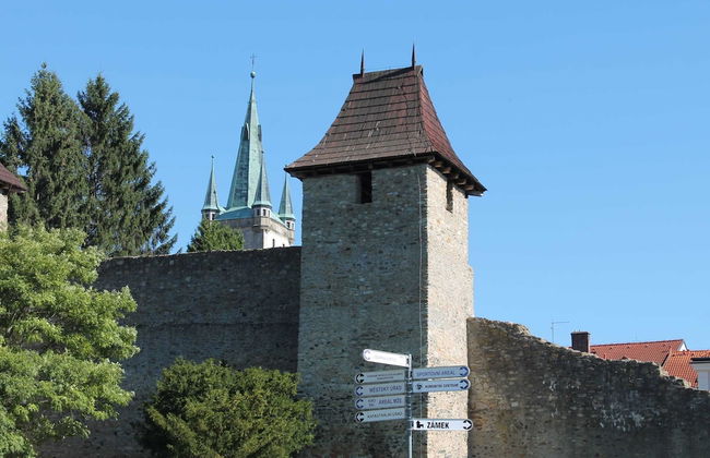 Holiday Home Milire Bohemian Forest - Foto 20