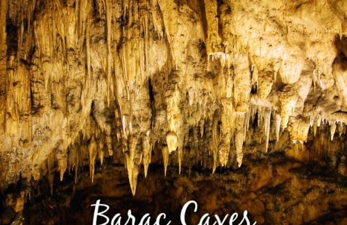 Apartman Djak - Foto 25