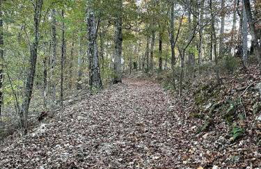 Secluded Riverfront Cabin with Bluff Views, Gated Privacy & Scenic Trail Access in Tahlequah, Oklahoma - Foto 76