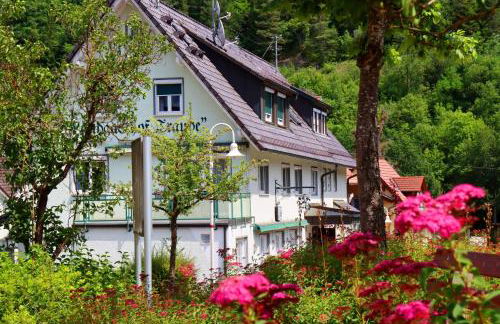 Ferienwohnung Nagoldtalblick - Foto 17