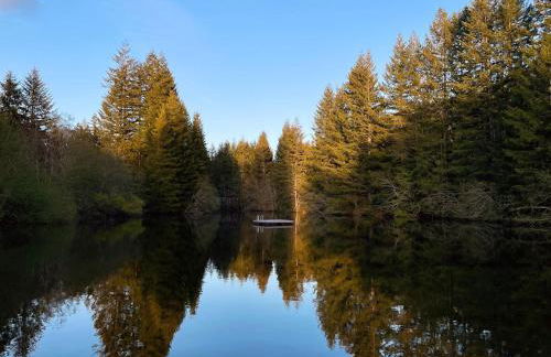 Mt Rainier Little Green Cabin On Big Creek! - Foto 34