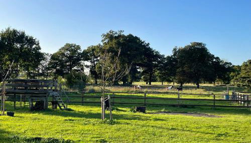 Ferienhof Bühne - Foto 5