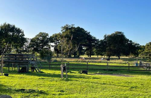 Ferienhof Bühne - Foto 5