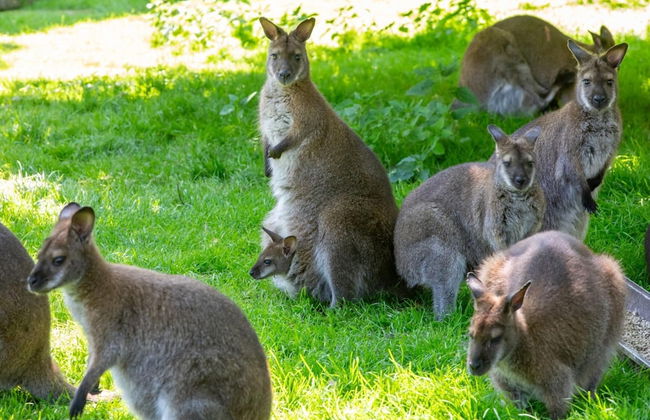 Cozy 4-person Stay at Rustenpolder - Photo 12