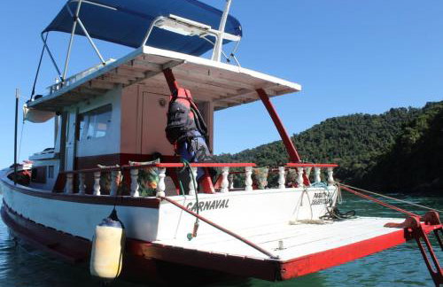 Carnaval Boat Tour - Photo 6