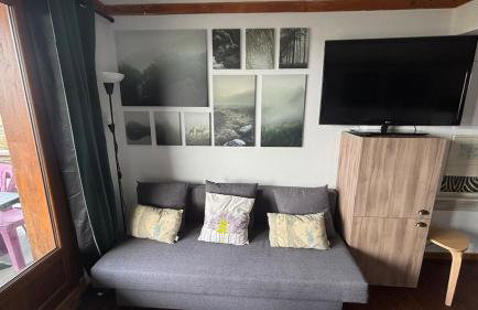 Lama-Gîte-des-Puys T3 Lamadalet, vue sud, terrasse, parking privé - Foto 6