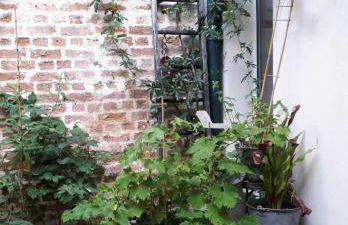 Le nichoir aux oiseaux - Foto 21