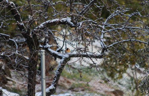 El Almendro de Fuentes Nuevas - Foto 35