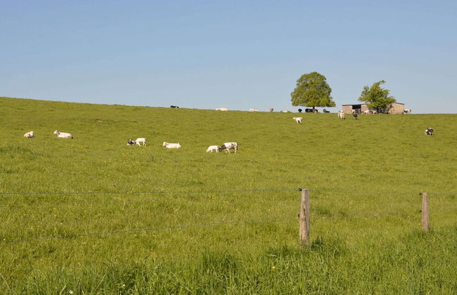 Holiday Home in Hastiere Near Adventure Park - Foto 41