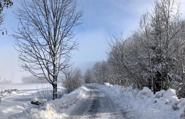 Holiday Home in Niedernsill With Sauna - Foto 34