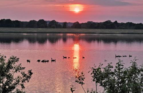 Ferienhaus Rhode am Alfsee - Foto 14