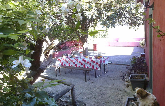 Casa Amoreira - Quinta Amoreira - Foto 45