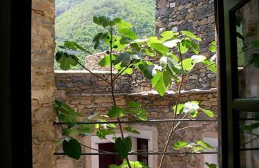 Paradiset THE GREEN NEST - Photo 20