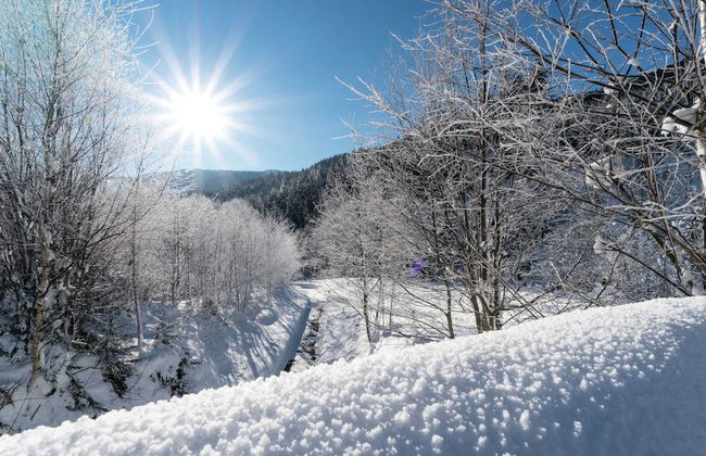 Spacious Holiday Home near Ski Area in Leogang - Foto 35