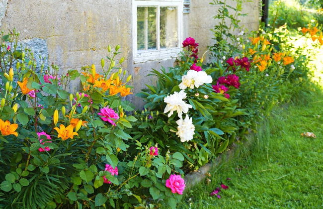 5 Person Holiday Home in Hedekas - Foto 28