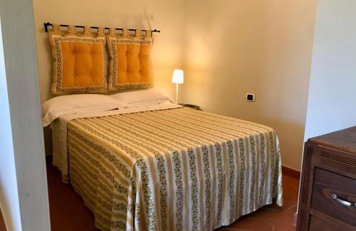 Agriturismo Podere Filicaia - Foto 63