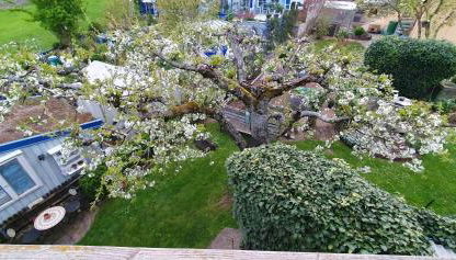 Ferienwohnung Rettersheim Mainspessart - Foto 4, Garden view