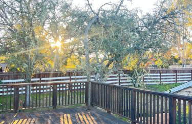 Château La Paz - Foto 13