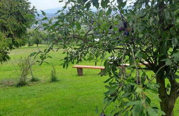 Domek pod Skiełkiem - Photo 59