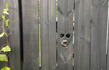 The Surf+Sleep - Foto 7