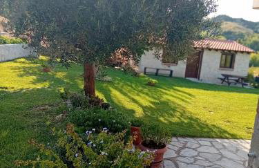 Κτήμα Verde - Foto 55