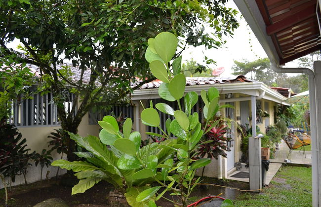 Casa Sophia - Foto 57