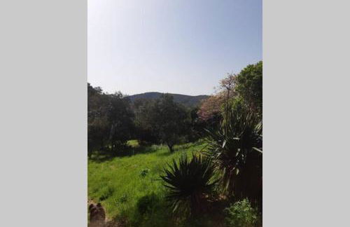 ESTUDIO RENOVADO CON BALCON PRIVADO Y COCINA vistas al mar TAMARIU y BEGUR - Foto 34