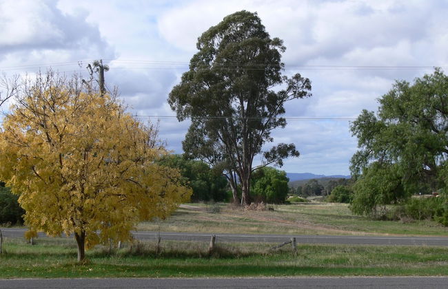 Fairbank House - Photo 24