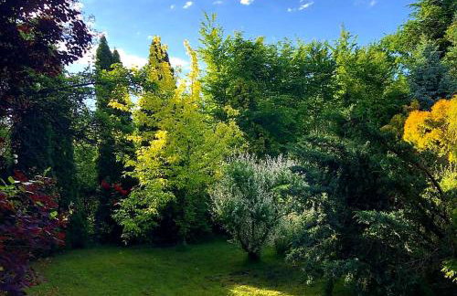 Secret Garden Residence - Photo 20