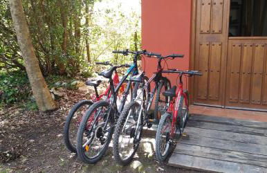 Apartamentos Rurales La Fuente de Báscones - Foto 21