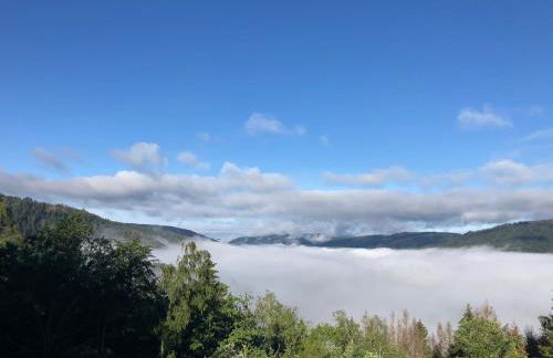Le gîte cozy de Bouvacôte avec vue panoramique et Sauna - Foto 28