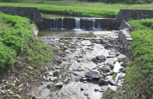 EkoTurystyka Natura Gwiazd - Green Velo - Workation Park - Ziołowy Klimat Bieszczad - Foto 19