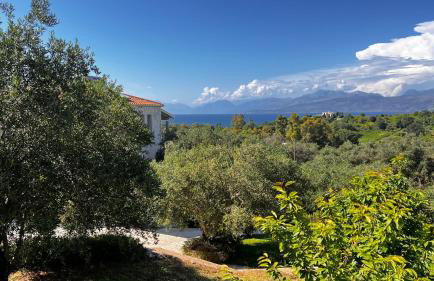 Villa Sania - Foto 49