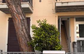 Casa Marina - Photo 17