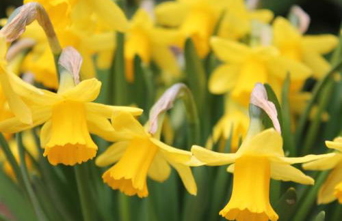 Gemutliche Ferienwohnung in Satow - Photo 31