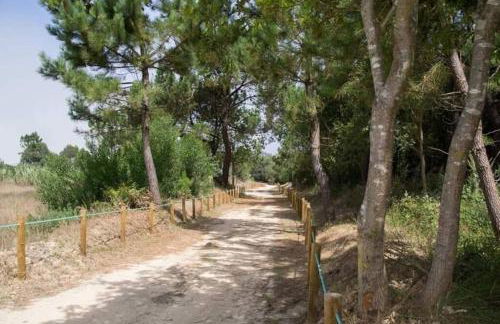 Areia StayInn Beach Apartment - Foto 16