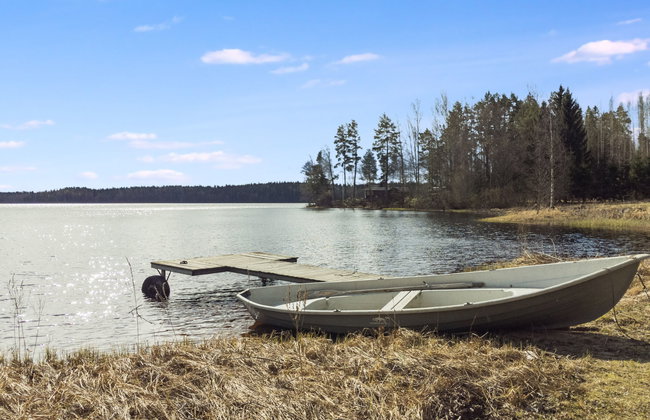 Keltavuokko - Foto 2