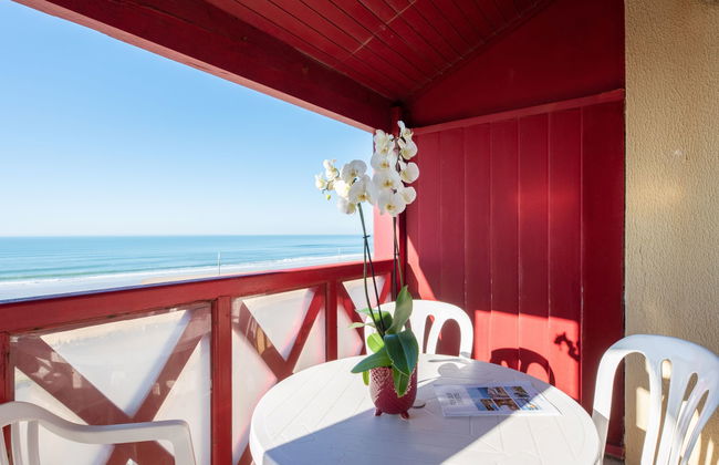 Primavéra - Foto 16