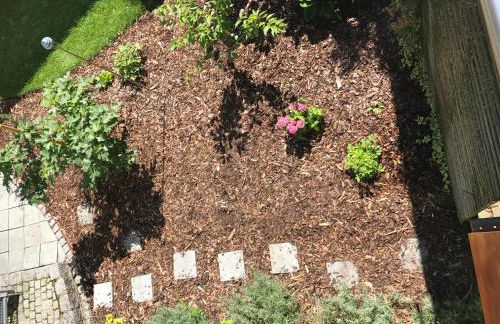 Blackbird´s Nest - Foto 31