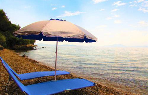 Christie's ground floor apartment by the sea - Foto 24