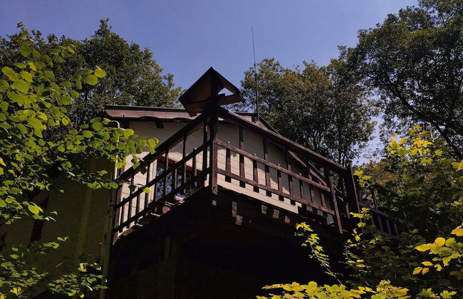 Chalet Vogelzang in the Ardennes - Foto 26